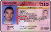 check if fl drivers license valid